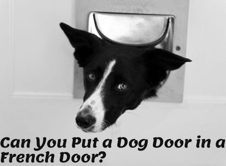 Can You Put a Dog Door in a French Door? The Ultimate Guide for Australian Pet Owners