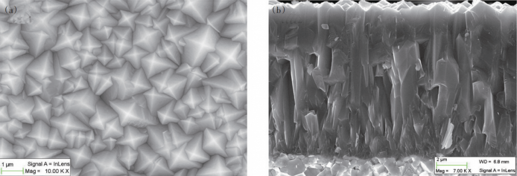 SEM surface images and fracture cross sections of test coatings