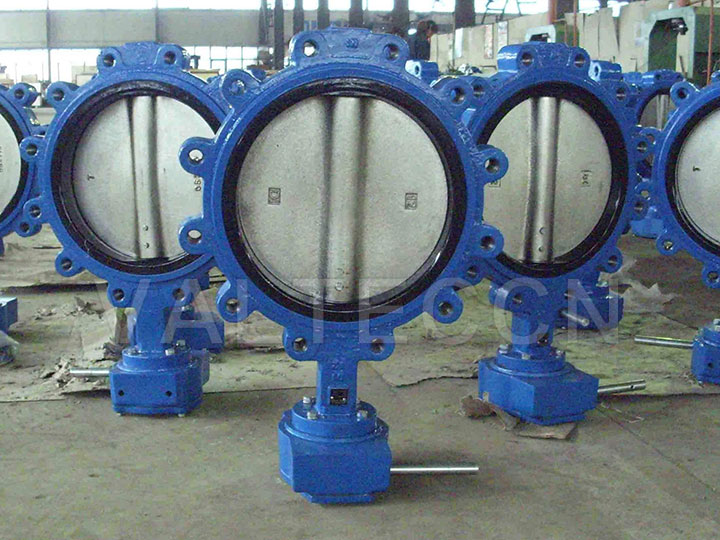 Rubber Soft Seat Butterfly Valve